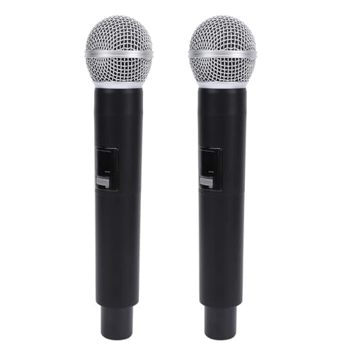 mc3xrzdf5a - 2 Microphones