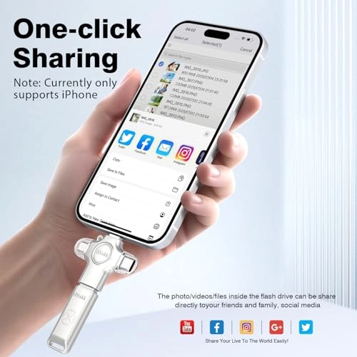 FLASHDRIVE - 256GB USB C