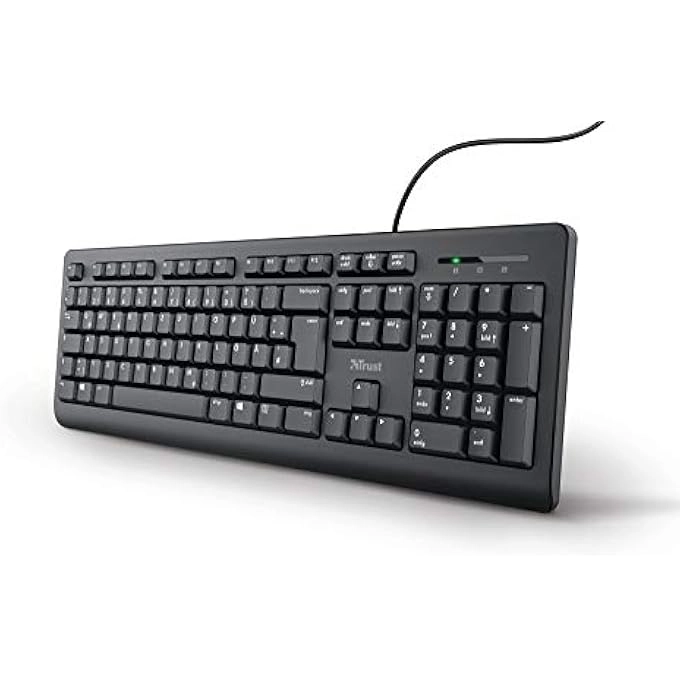 rayihni TARO - DE Wired