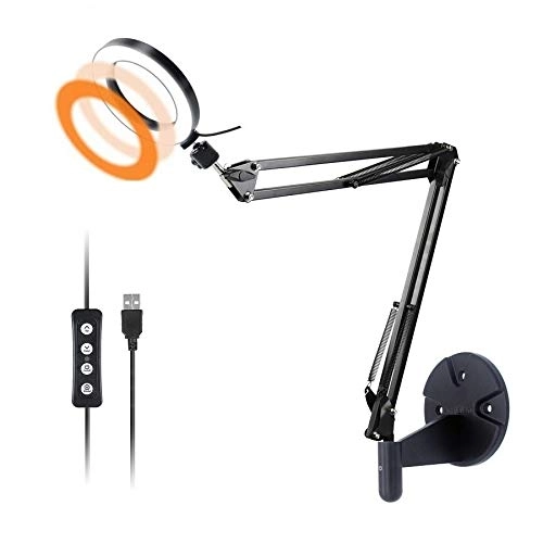 AceTaken Wall Mount Light - 6"