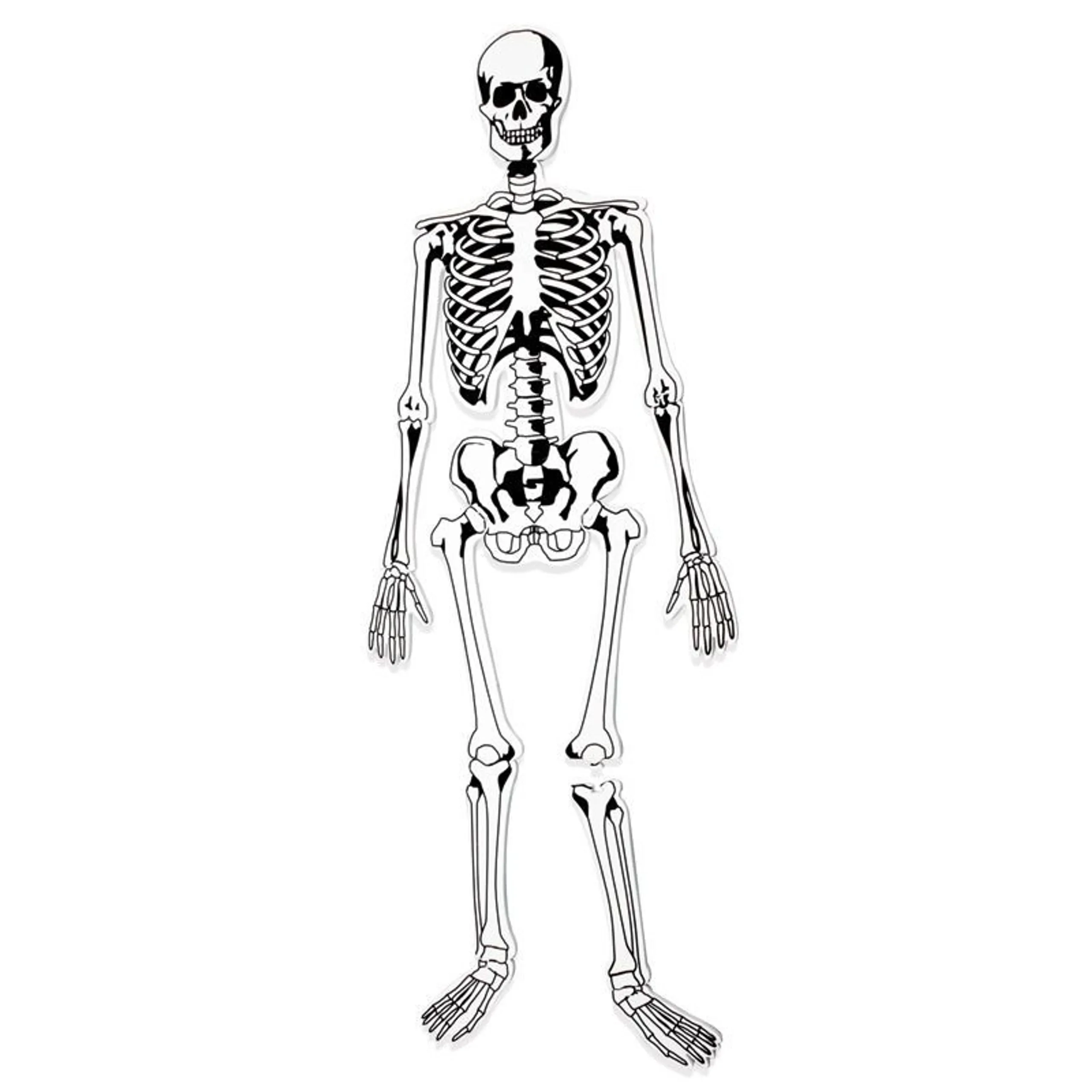 Skeleton Foam Floor Puzzle - 5+ Years 15 piece(s)