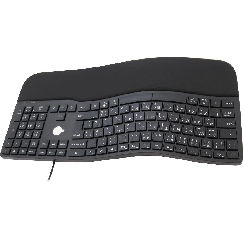 480 - EN/AR Wired