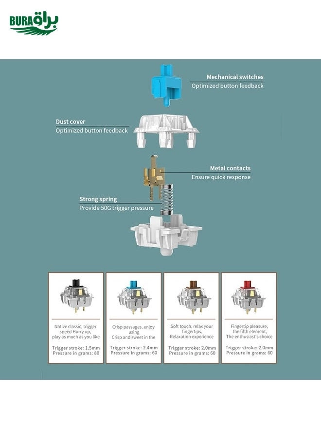 STK61 - Wired/Wireless