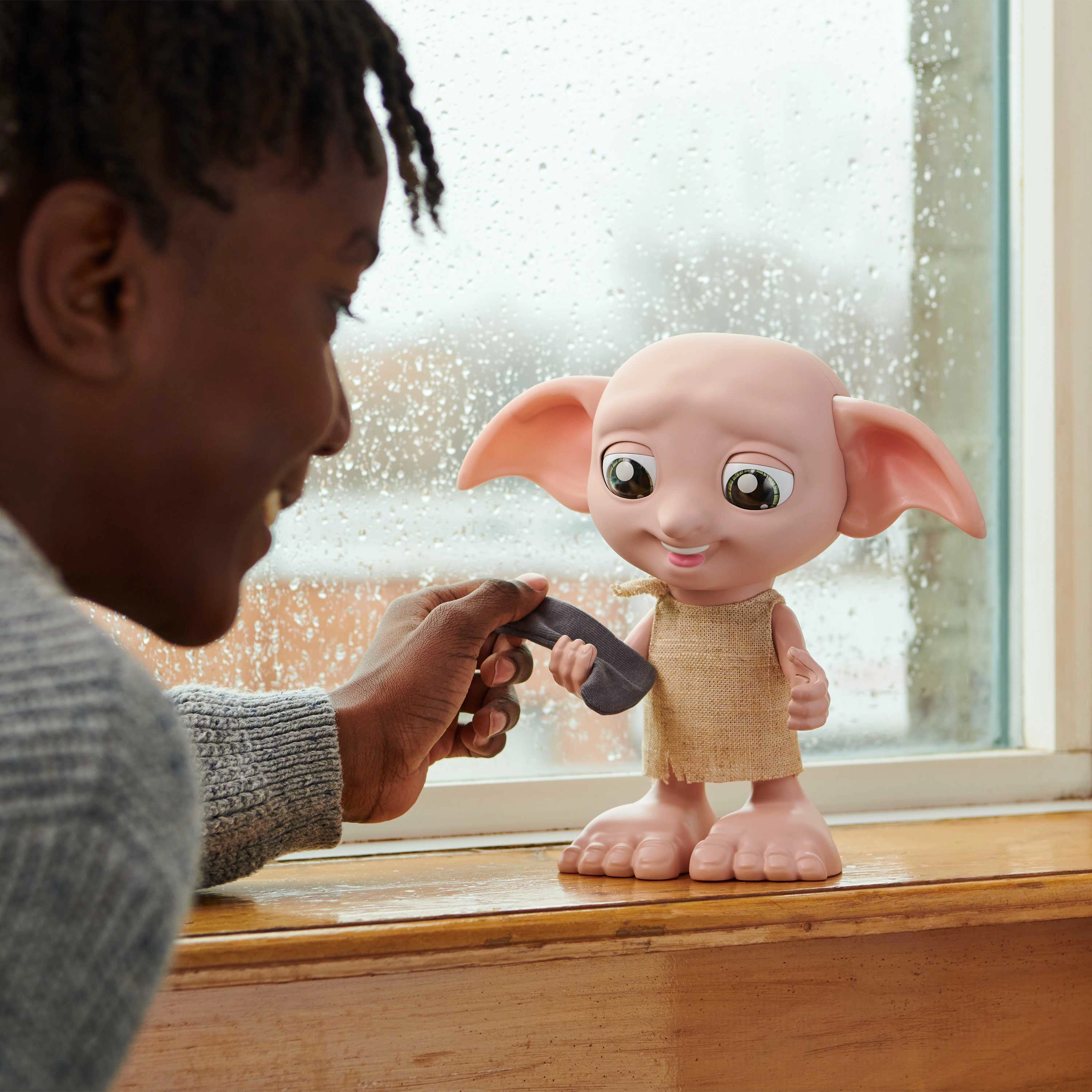 Interactive Dobby