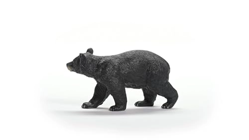 American Black Bear - 4+