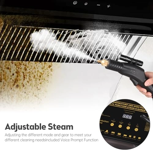 High Pressure Steam Cleaner - 6bar 8bar