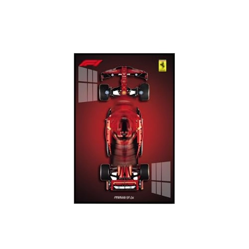 Racing Car Wall Sign (42207) - 50 x 80 cm Aluminum