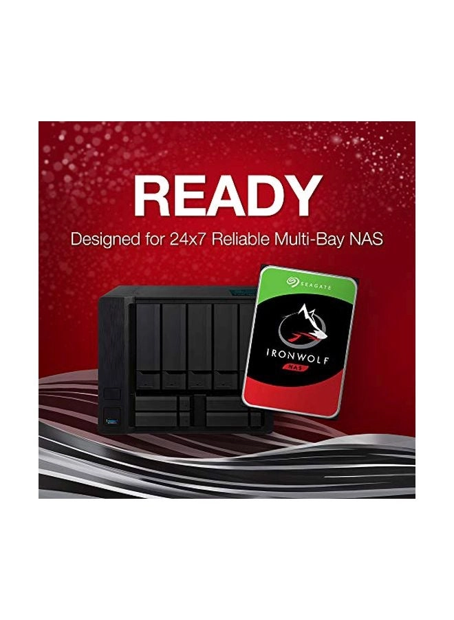 IronWolf SATA 256MB (ST10000VN0004) - 10Tb