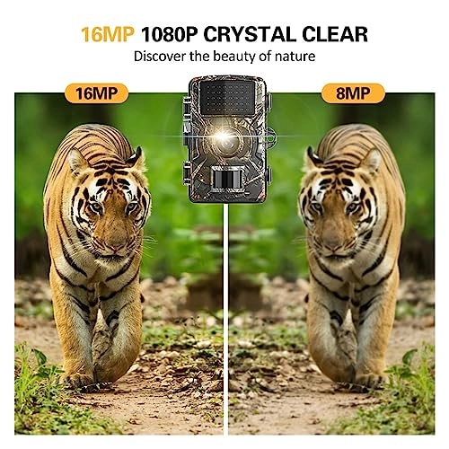 Wildlife HD Hunting Rear Camera - 16MP