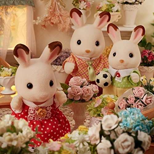 Chocolate Rabbit Family - 3 years Rabbit 4