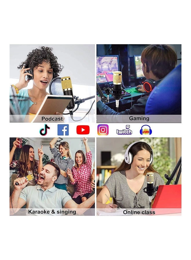 BM-800 + Live Sound Card Wired Microphone