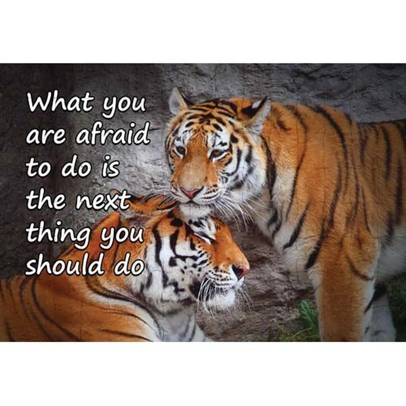 Ajooba Dubai Motivation Puzzle (7668)