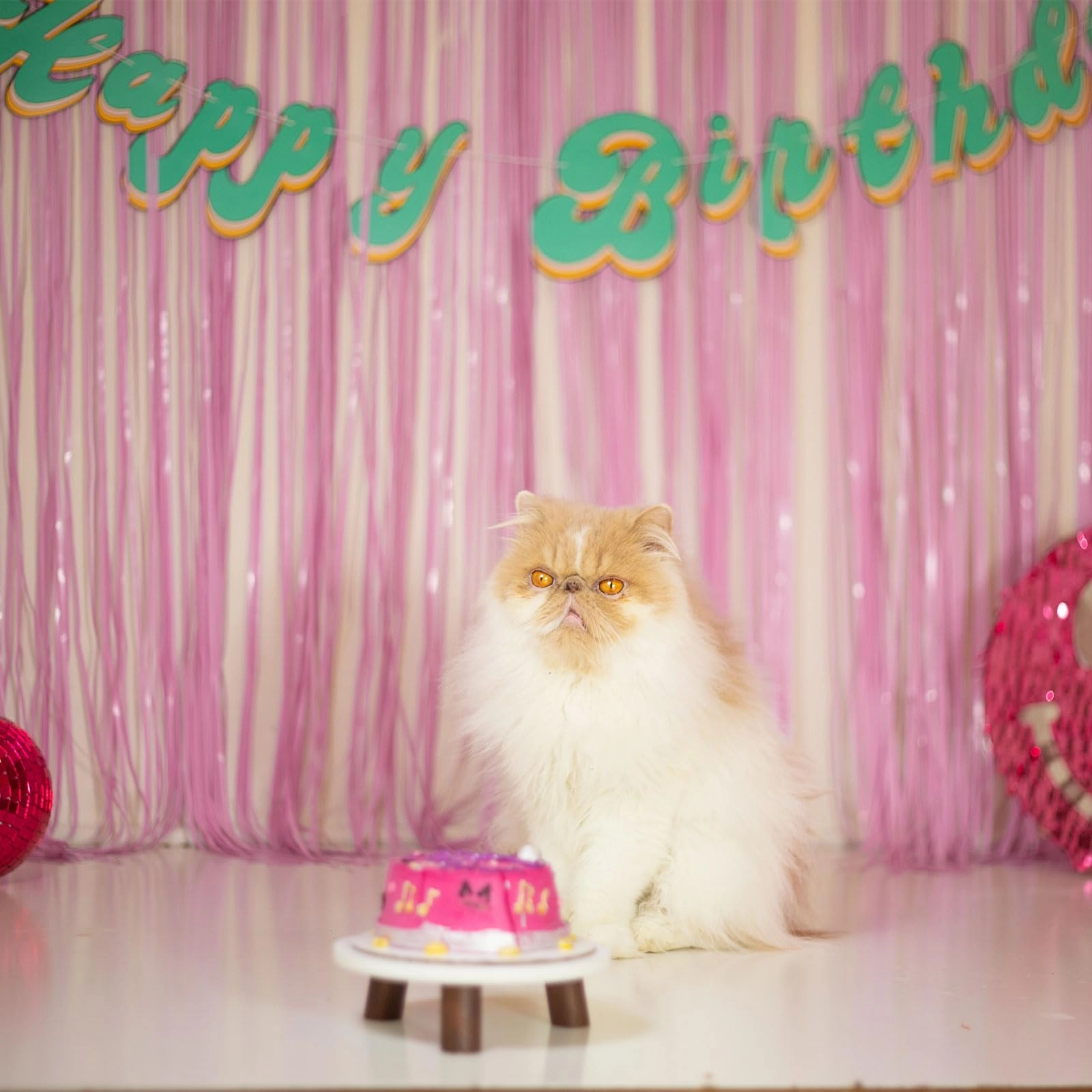 Party Backdrop - 10 Pack Birthday