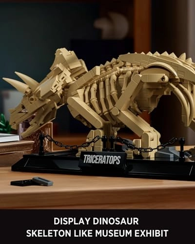 Triceratops Fossil Model Set