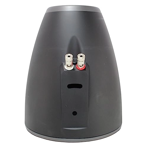 APMP-800ETW - 8-Inch Directional Stereo