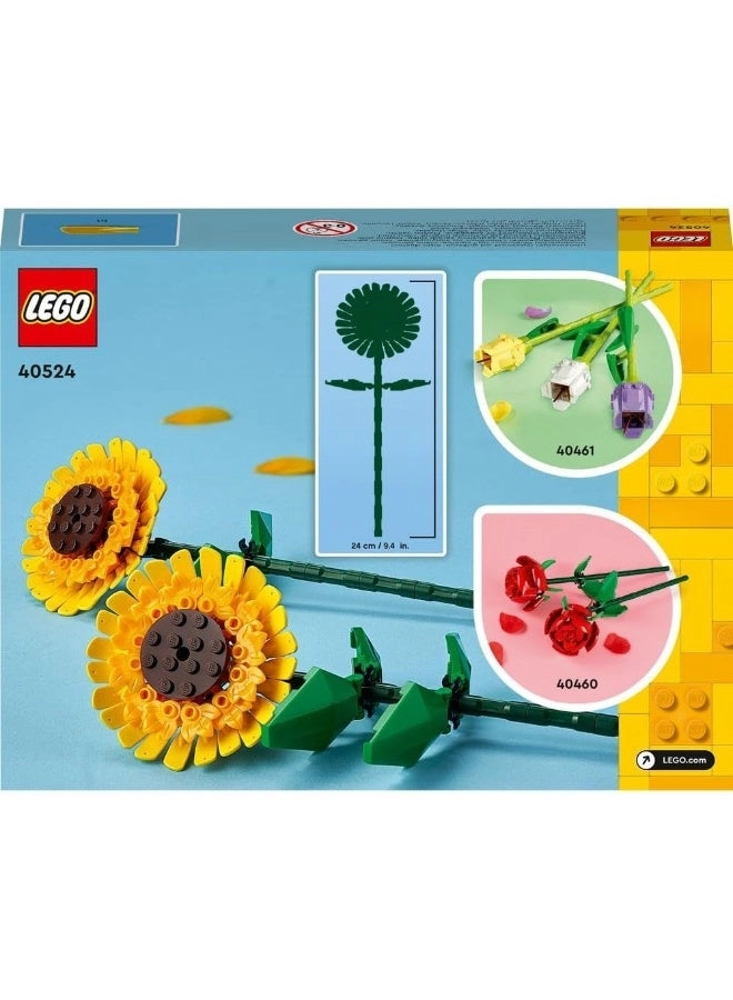Sunflowers (40524)