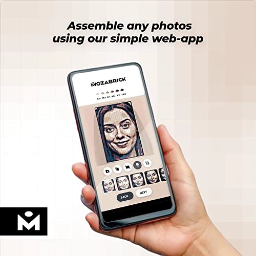 Color M - Landscape 10733 pieces