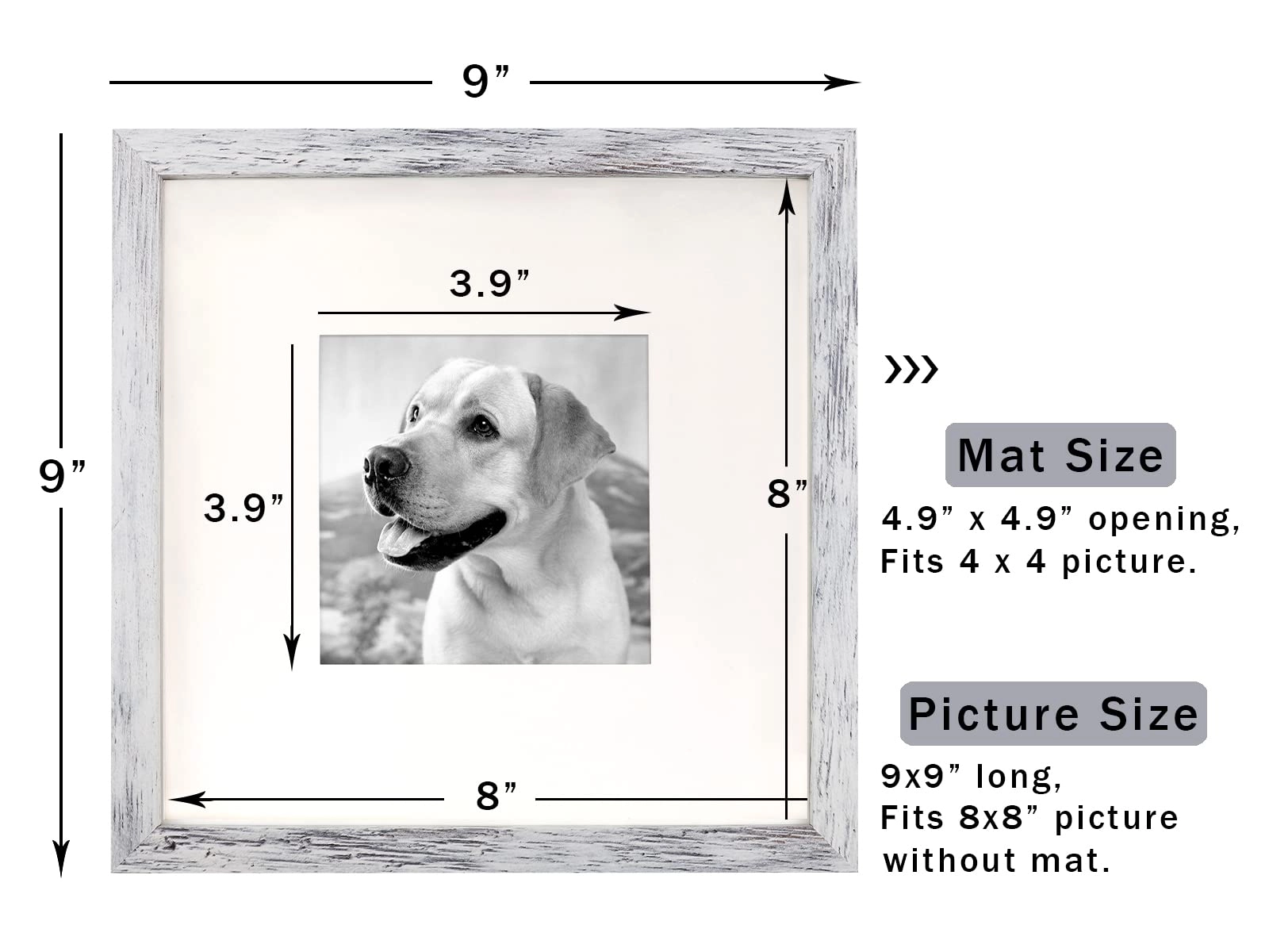 Picture Frame - 8x8 1.0 Count