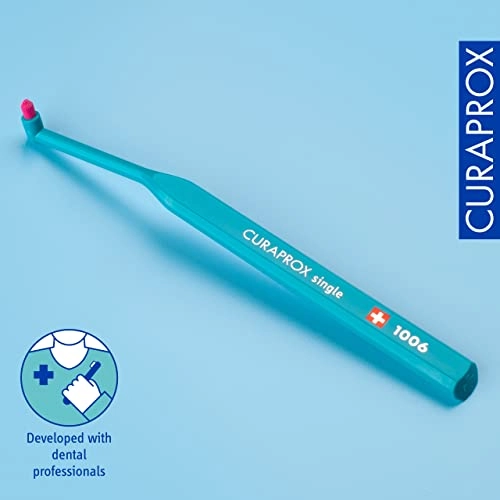 CS 1006