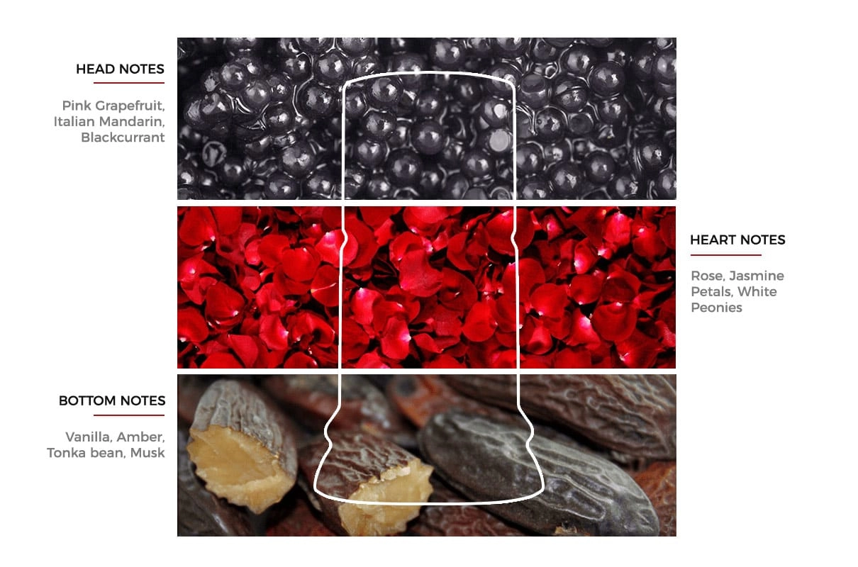 Roma Passione Femme Eau de Toilette 100 ml