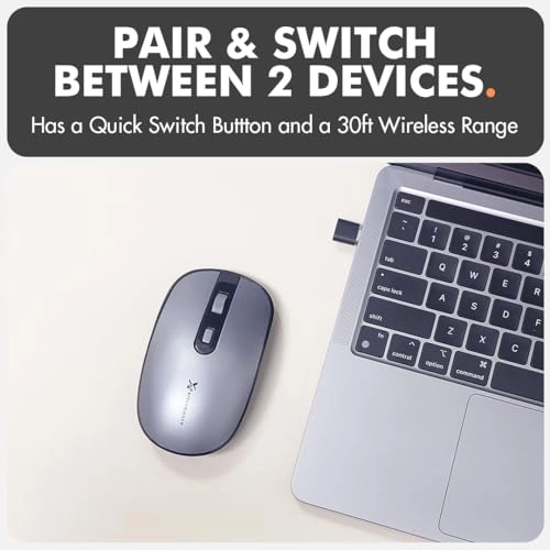 Dual USB C Wireless Mouse - Wireless
