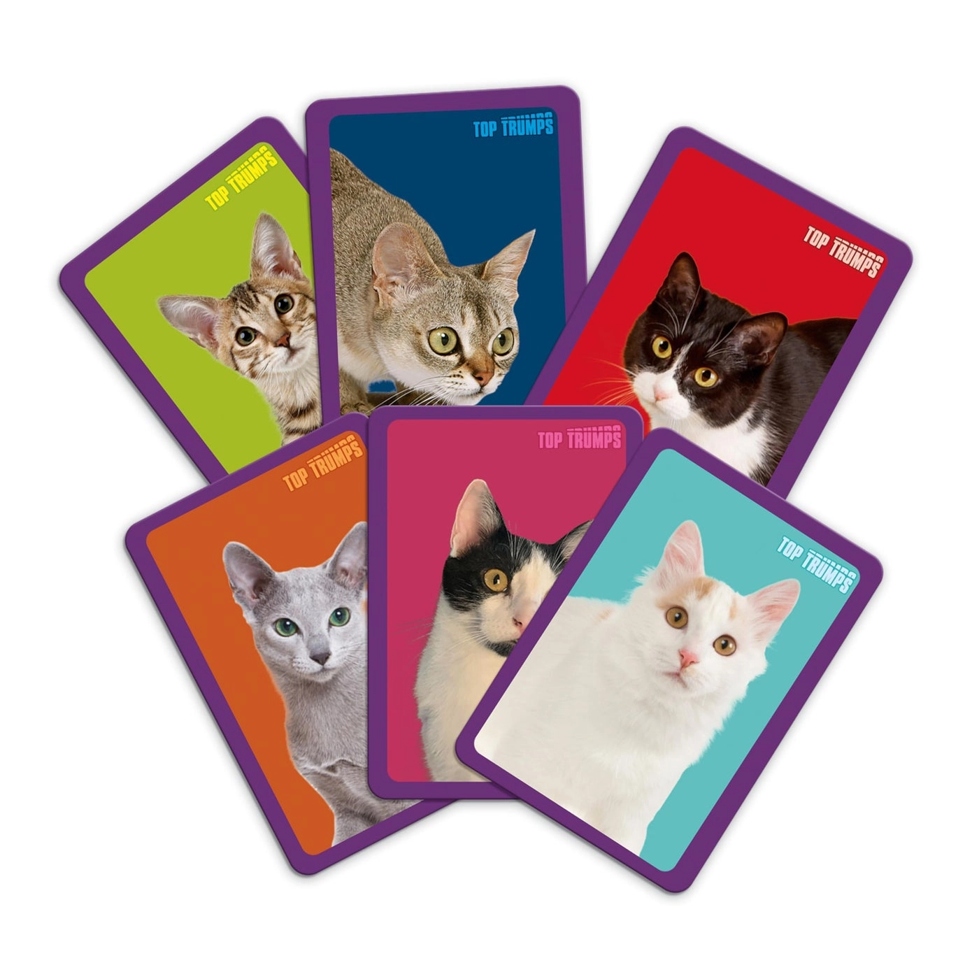 Match Game Cats