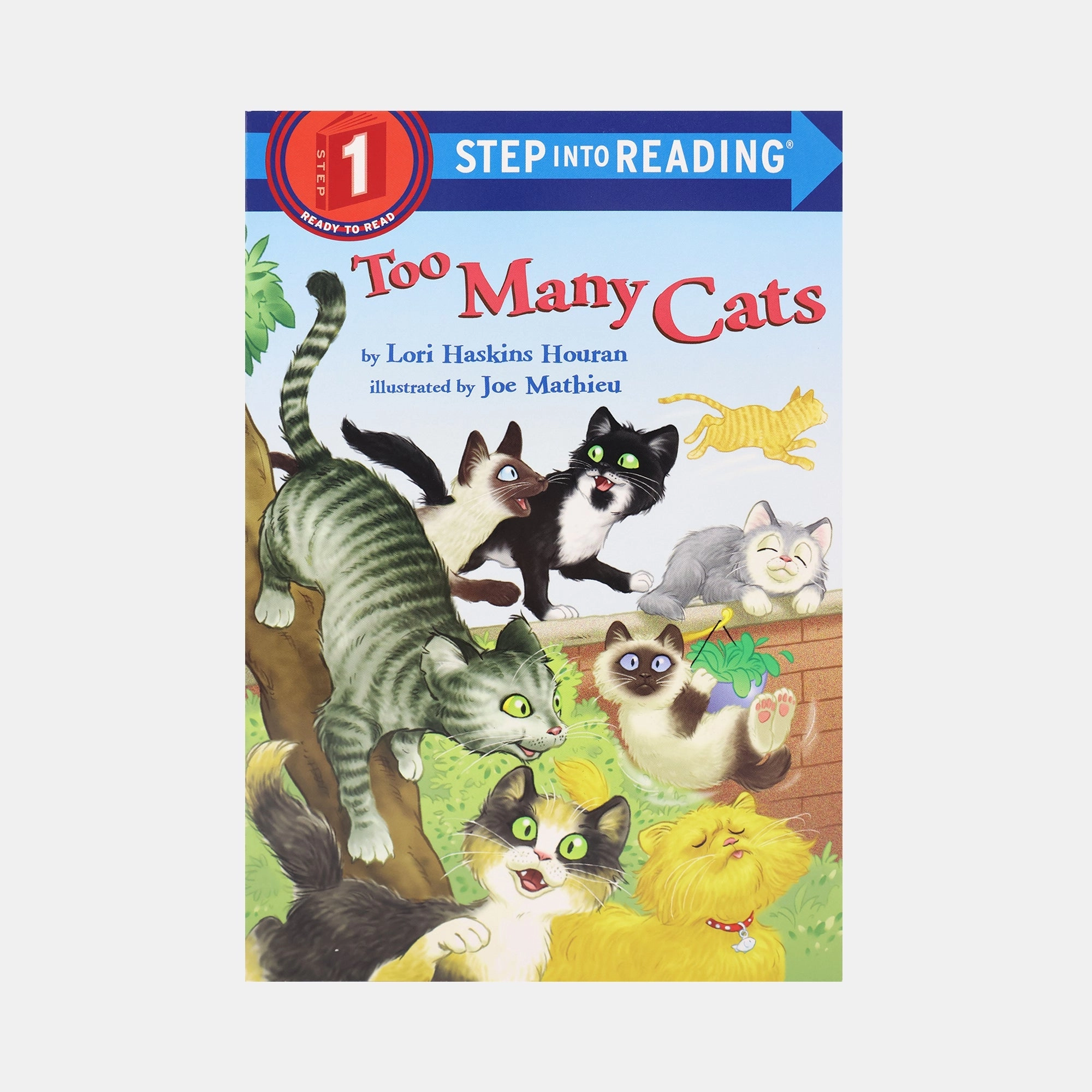 Too Many Cats