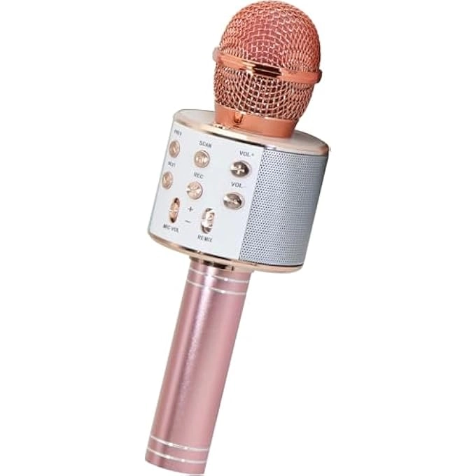 WIRELESS BLUETOOTH MICROPHONE