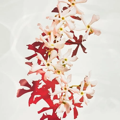 Alive - Eau de Parfum 80ml