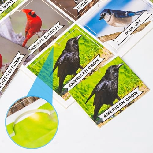 Matching Game - 37 cards 5 boards