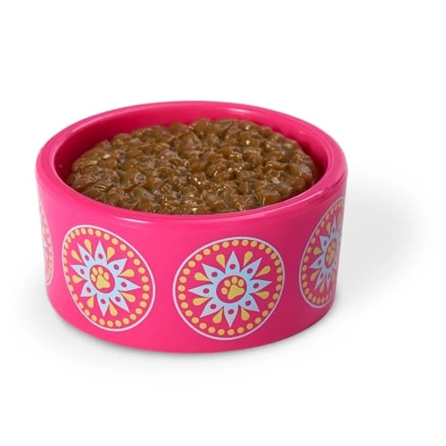 Kavi Sharma Doll - Girl of The Year + Scamper Plush Dog Ages 8+