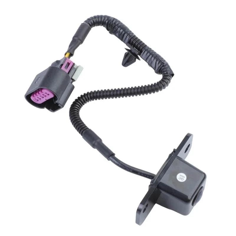 15862575 - Night vision