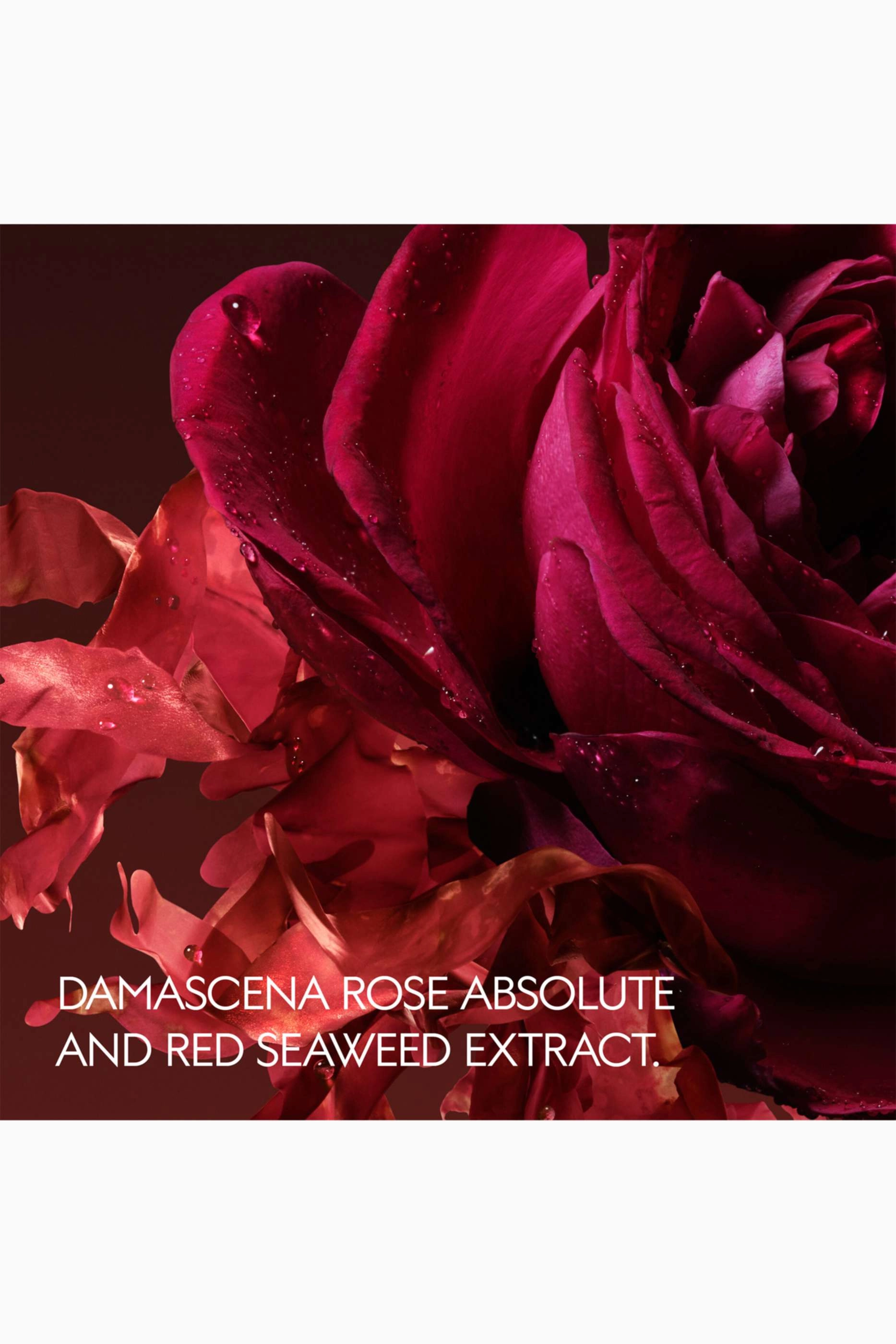 Rosa Incandescente Eau de Parfum 50ml