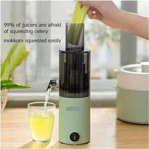 Portable Electric Juicer - Masticating Slow Auger Water-Free