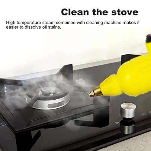 Steam Cleaner