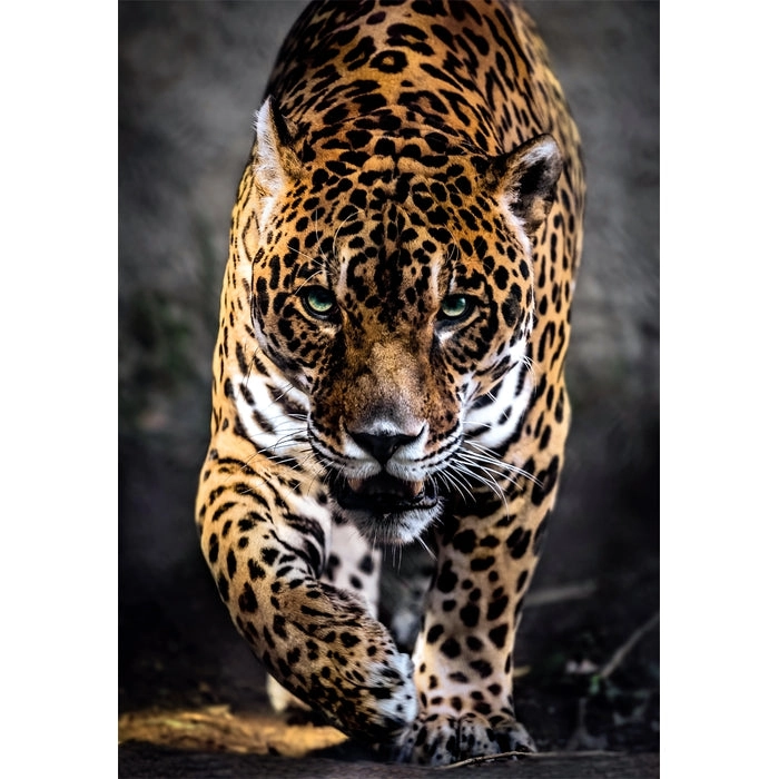 Walk of the Jaguar Puzzle (527-39947) - 1000 pcs