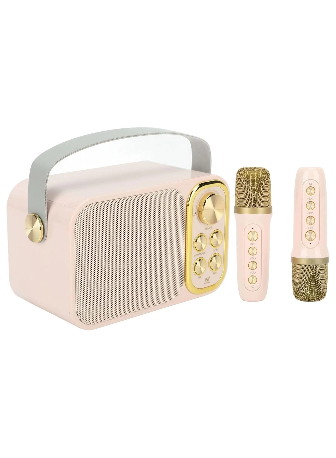 Outdoor Party Vocal Machine - 2 microphones