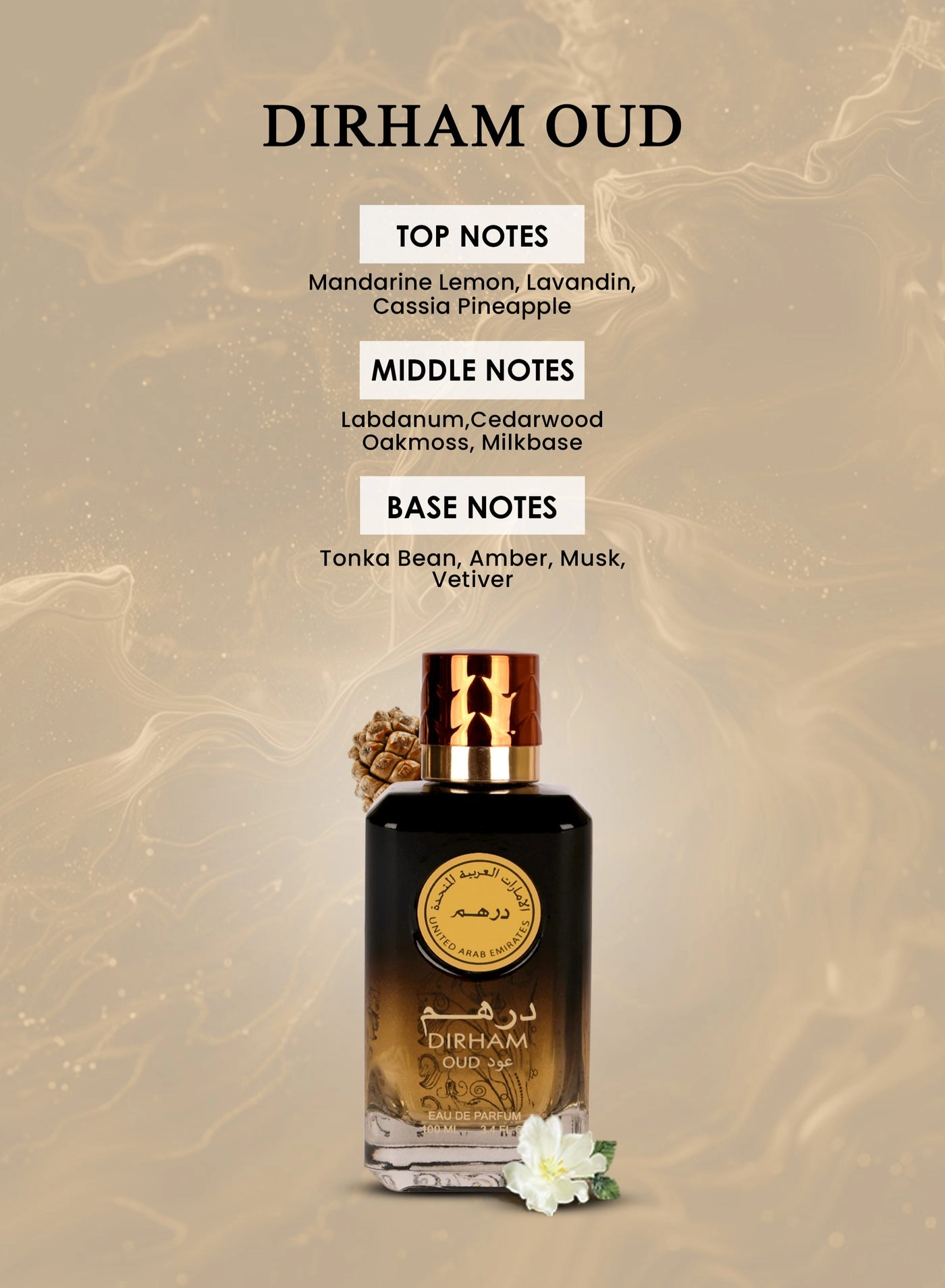 DIRHAM OUD Eau de Parfum 100 ml