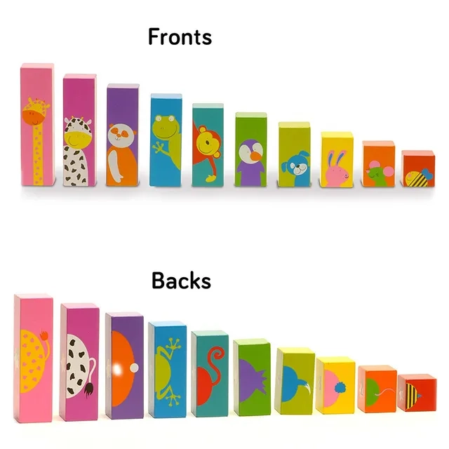 Sort & Shake - 4+ Years 10 piece(s)