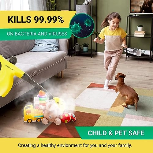 Handheld Steam Cleaner - 350 Milliliters