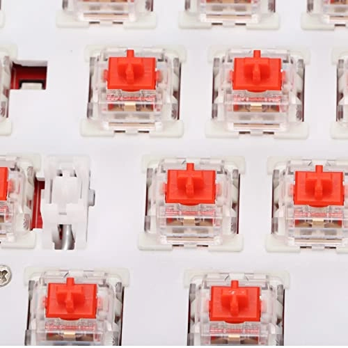 Mechanical Keyboard - US Wired/Wireless