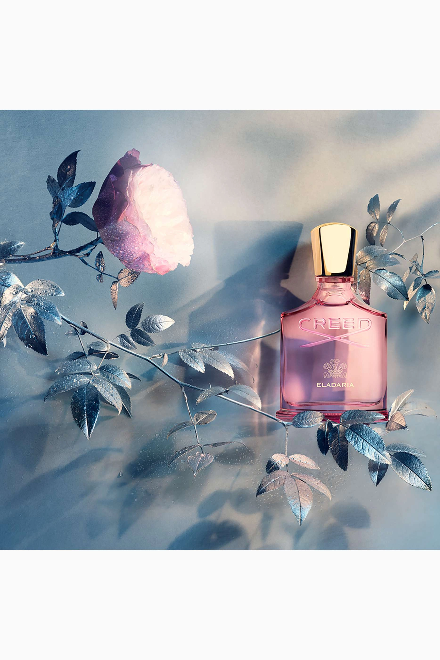 Millesime Eladaria Eau de Parfum 75ml