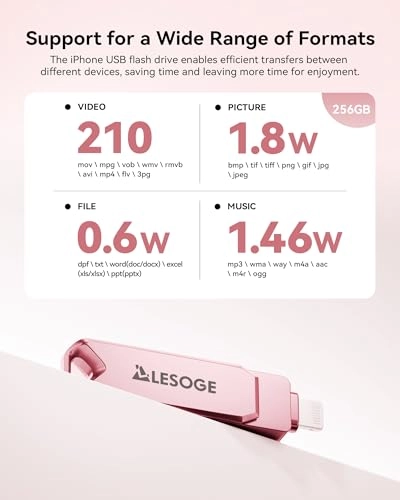 USB C Stick - Lightning 256GB