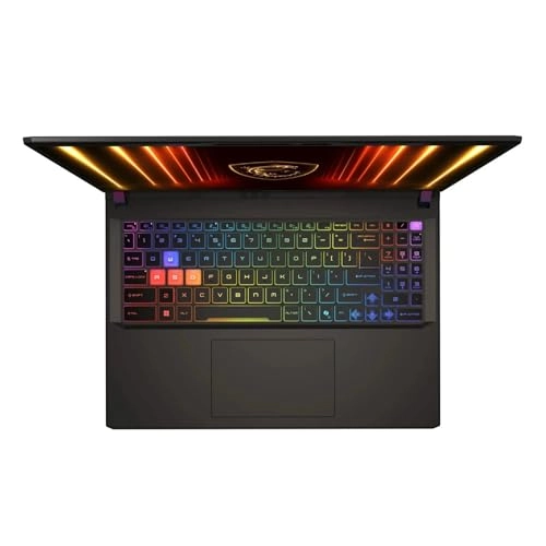 Vector 16 HX - 16'' Ryzen 9-8940HX 16GB DDR5 1TB SSD