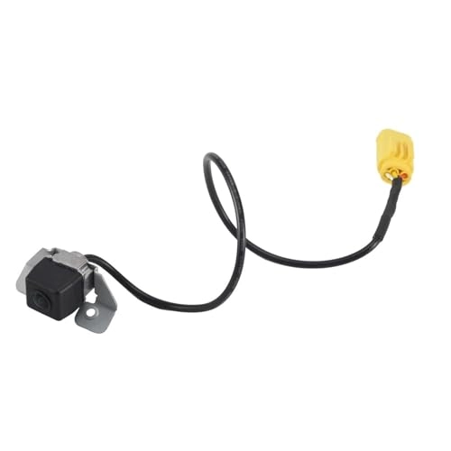 Backup Camera - Night Vision