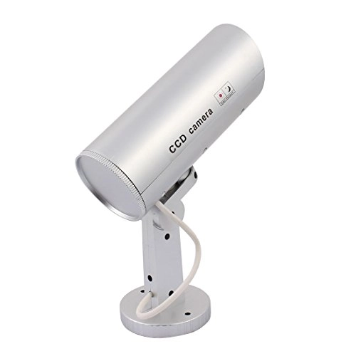 Dome - indoors and outdoors