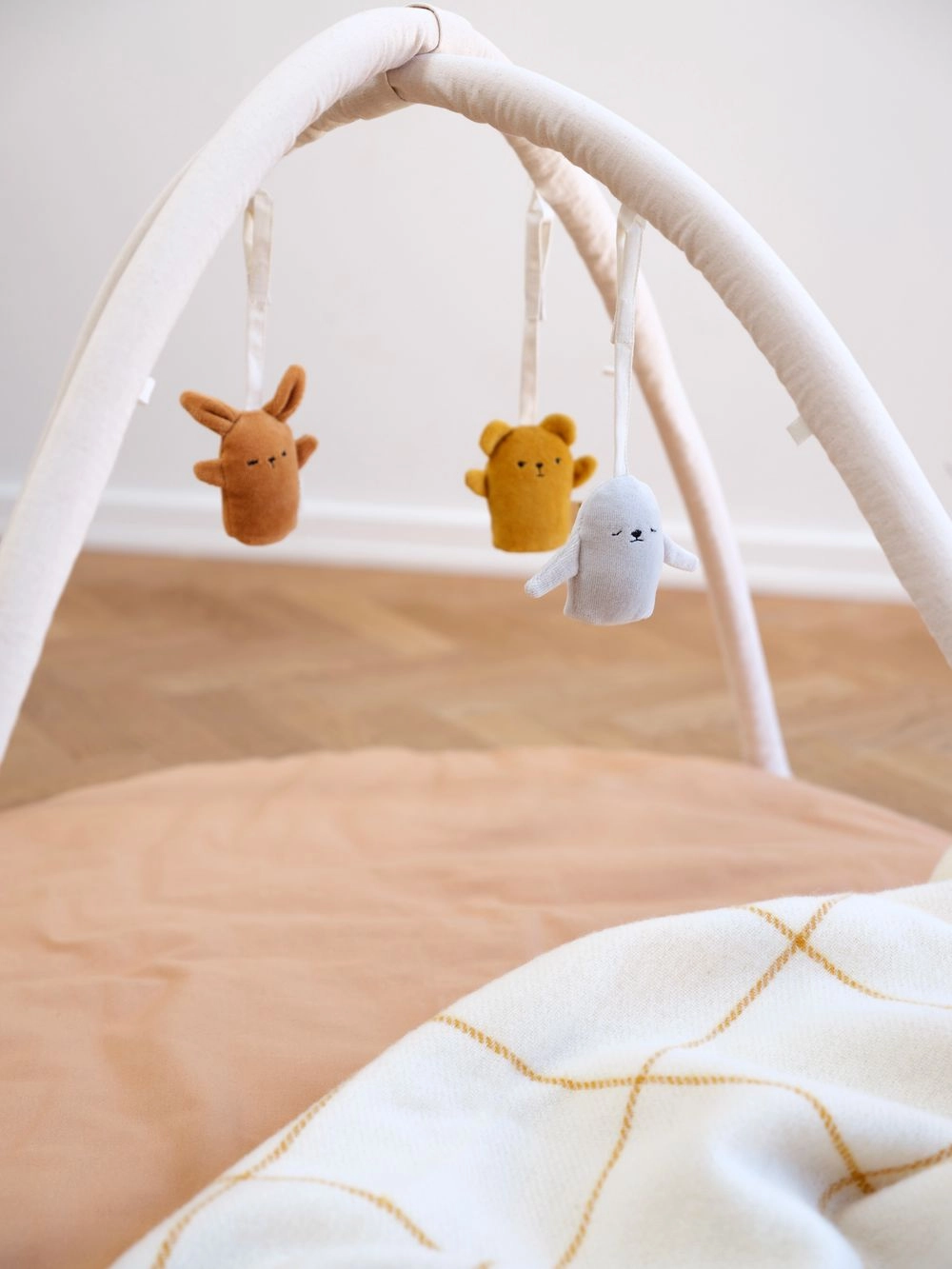 Fabbies Playgym Activity Toy - 0 month