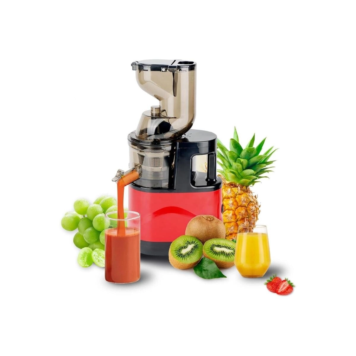 Juicer - 500W 450ML