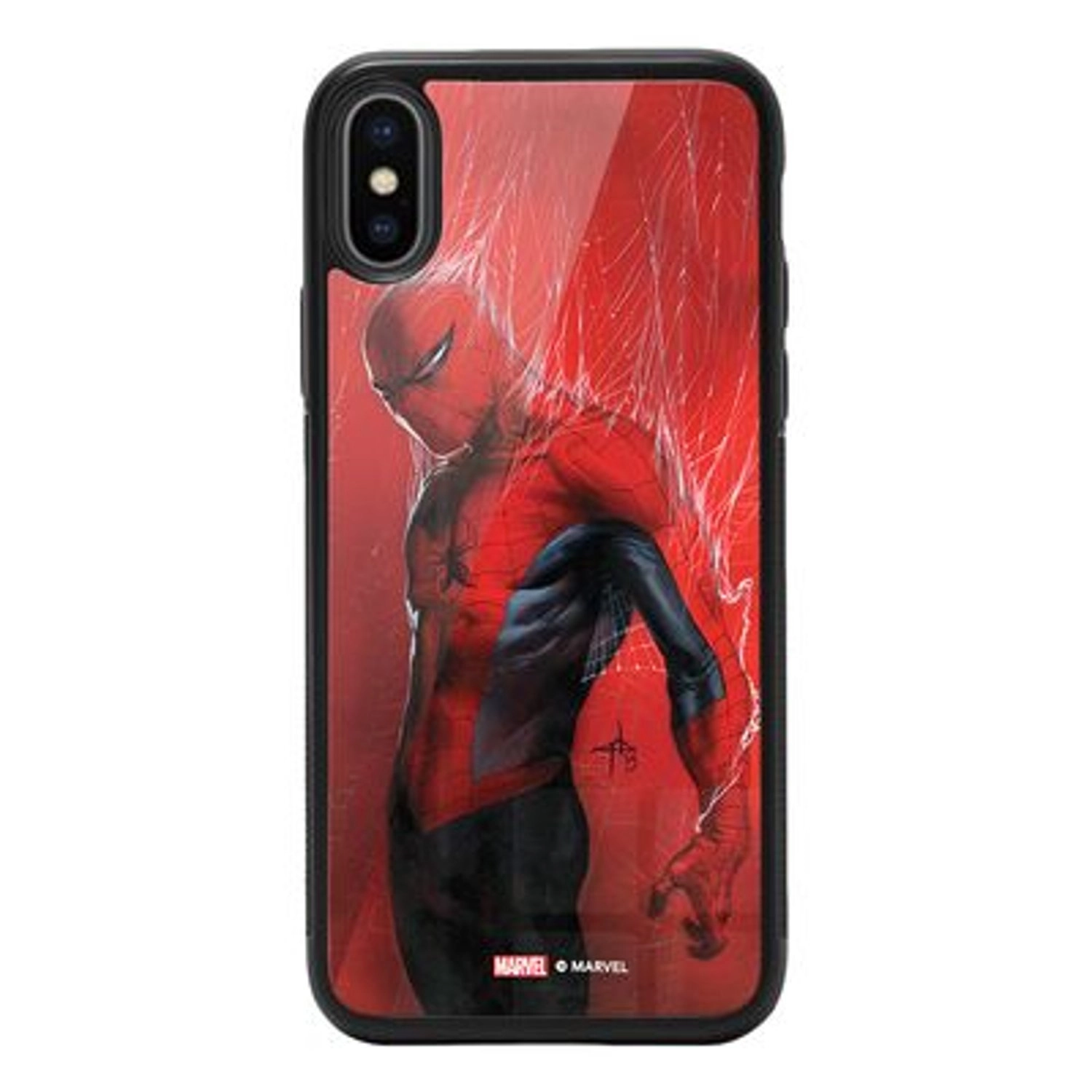 Wackylicious Webbed Spiderman Back Case for iPhone Xs Max