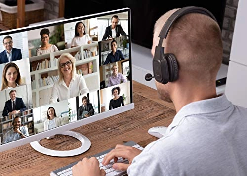 ABHM100F Wireless Headset